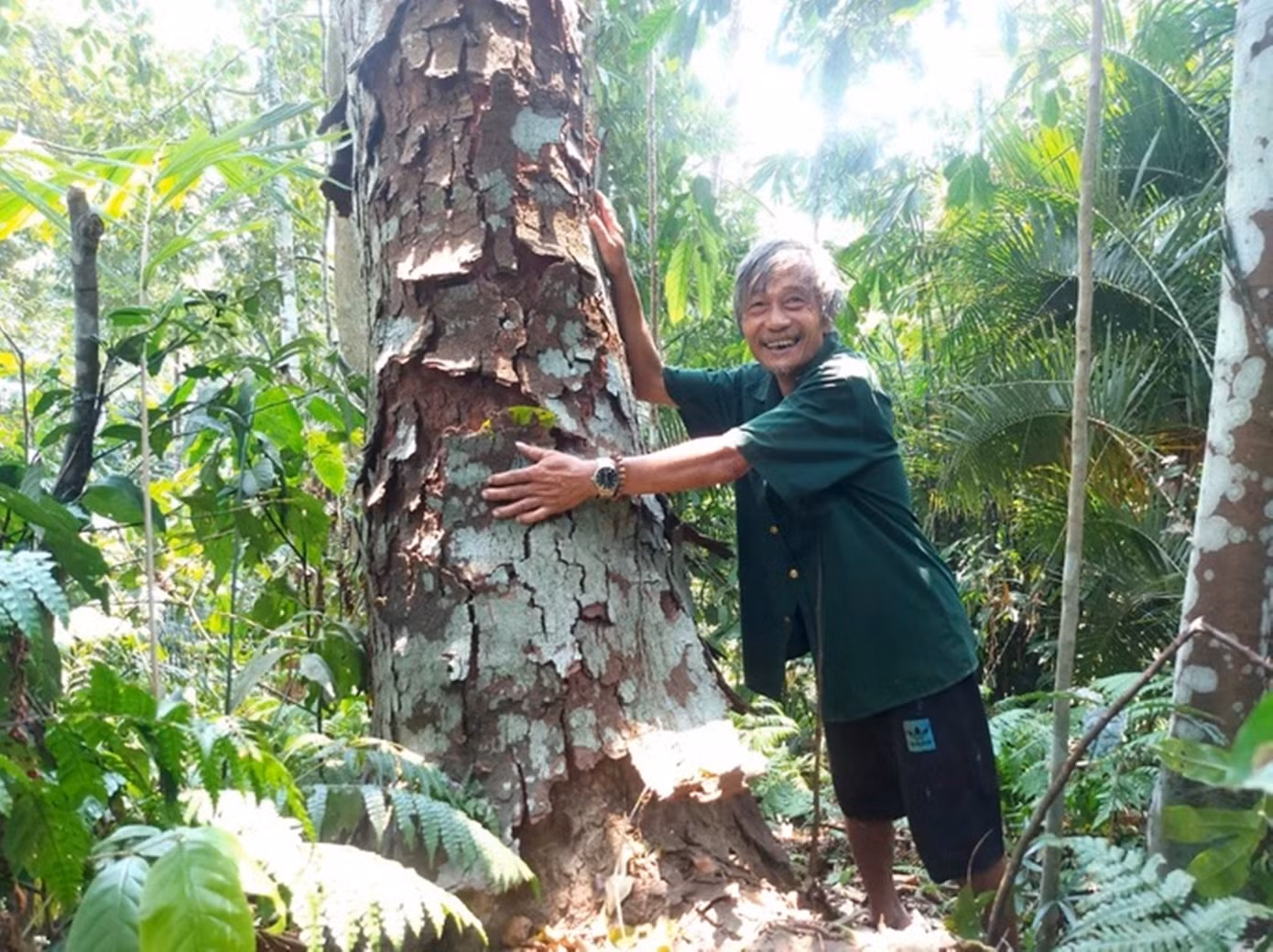 Ông Trần Ngọc Lâm bên cây cổ thụ.