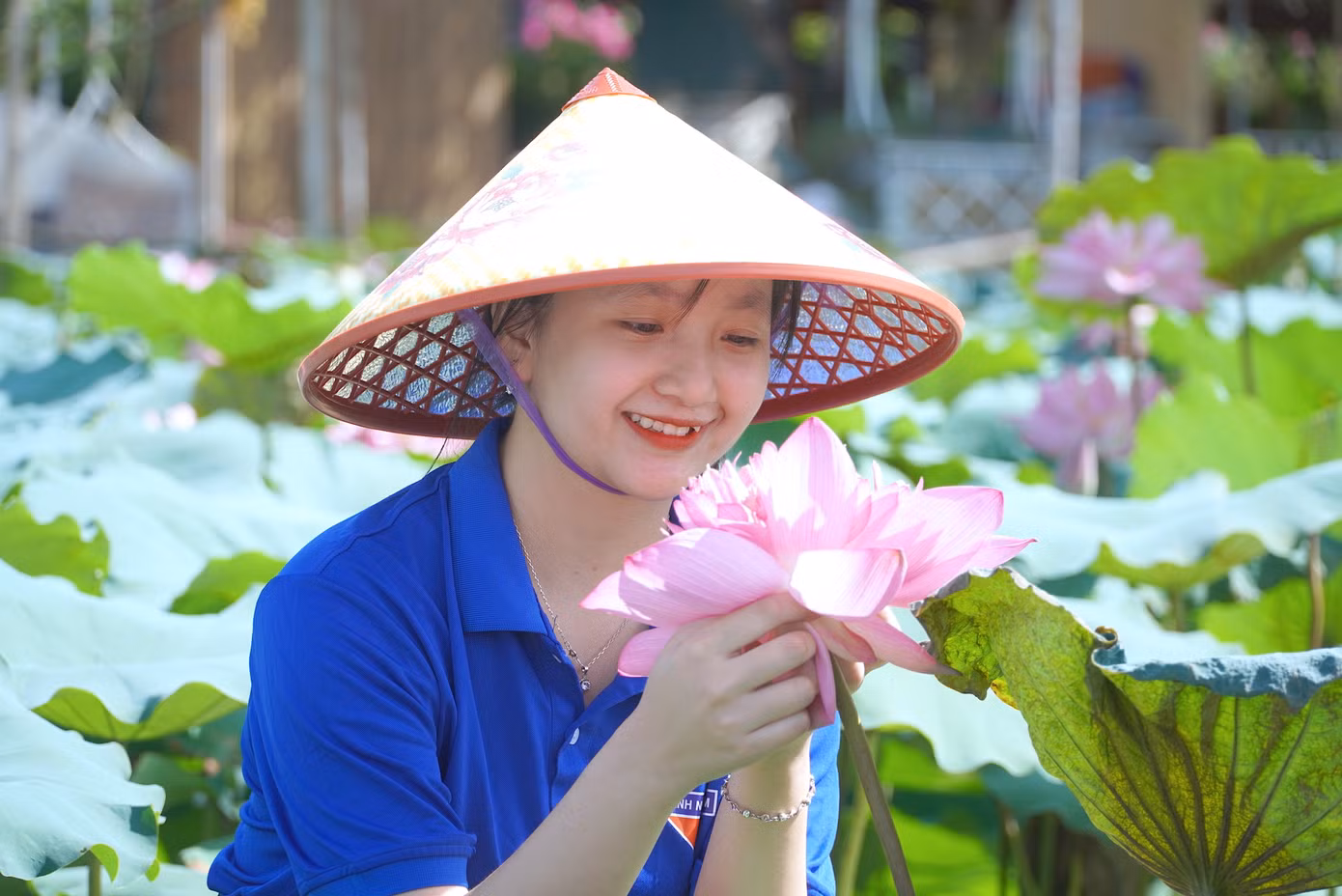 Mô hình sen thanh niên có 8 người tham gia, là những đoàn viên thanh niên trên địa bàn xã Thạch Linh. Đây cũng trở thành địa điểm check in thu hút đông đảo giới trẻ.