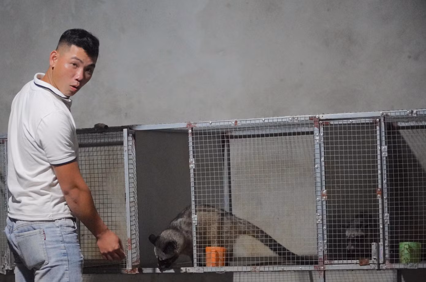 Hơn 1 năm kể từ khi bắt đầu xây dựng mô hình, anh Sáng đã bán được 40 con giống.