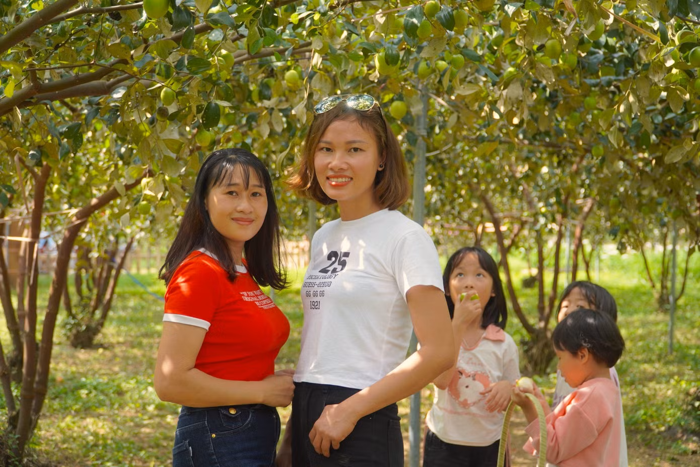 Theo chị Hương, đây là mô hình mới, nên gia đình rất hứng thú khi đến tham quan, đặc biệt các em nhỏ rất thích thú khi được hái và thưởng thức quả tại vườn.