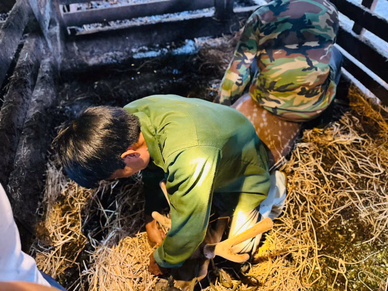 "Nghề này cũng cần có kỹ thuật, kinh nghiệm cao. Mỗi ngày trong mùa này chúng tôi kiếm được từ 1-2 triệu đồng, nhờ nghề này anh em có thêm thu nhập lúc rảnh rỗi", ông Chương kể.