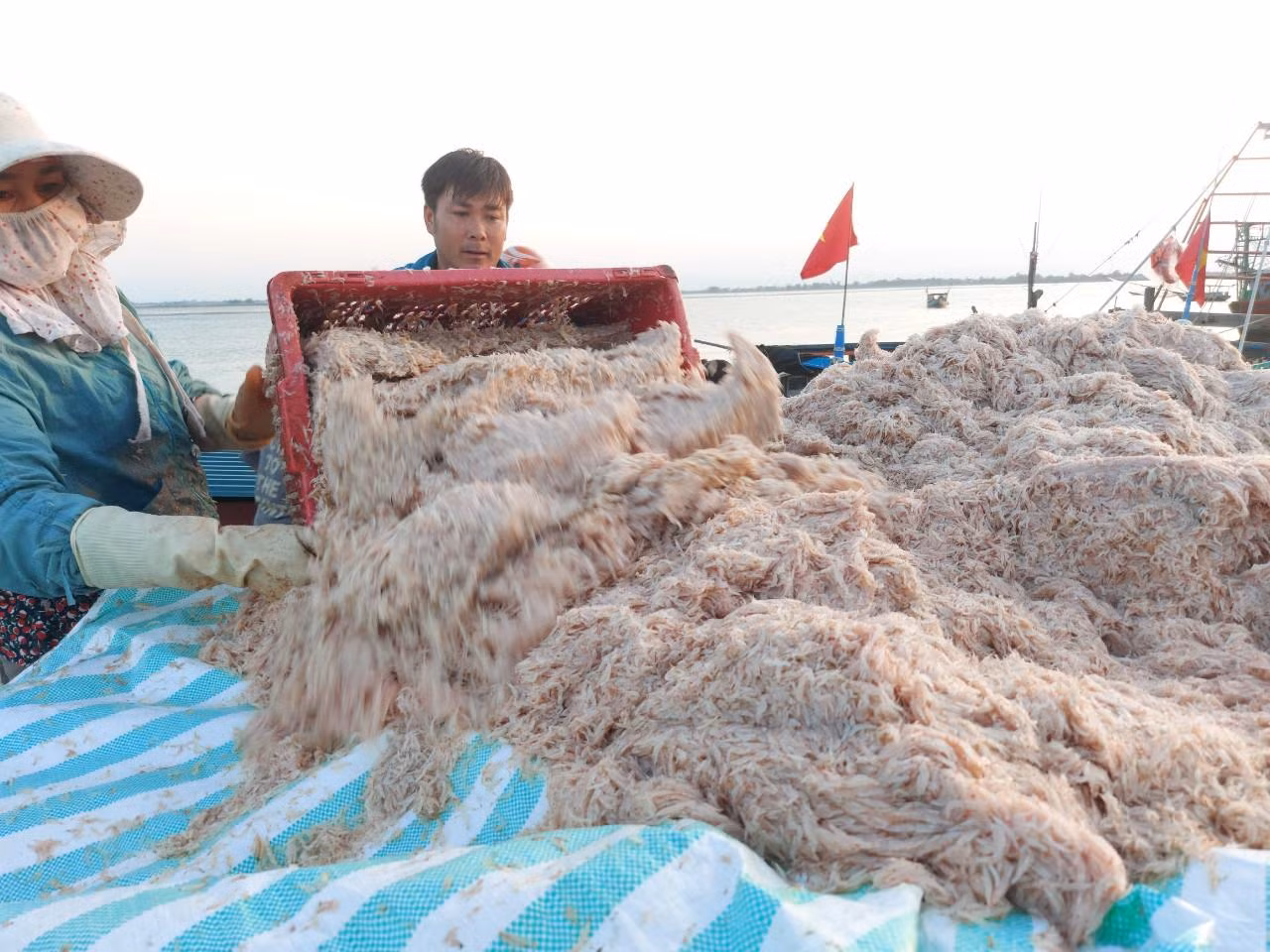 Ngư dân đánh bắt ruốc di chuyển ra biển từ lúc 17h ngày hôm trước và trở về lúc 5 giờ sáng hôm sau. Cũng có một số ngư dân đi vào rạng sáng và về trong buổi trưa hoặc chiều cùng ngày.