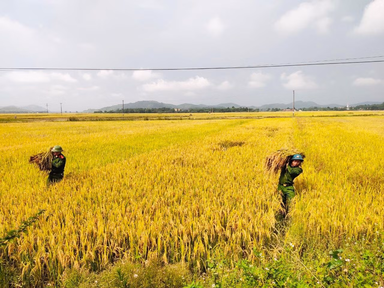 “Chúng tôi sẽ tiếp tục triển khai hoạt động trong những ngày tiếp theo. Đây là nhiệm vụ, trách nhiệm, anh em chiến sĩ công an cố gắng làm để giúp đỡ người dân, đặc biệt những gia đình khó khăn, người già, sức khoẻ yếu thiếu sức lao động…”, đại uý Đức chia sẻ.