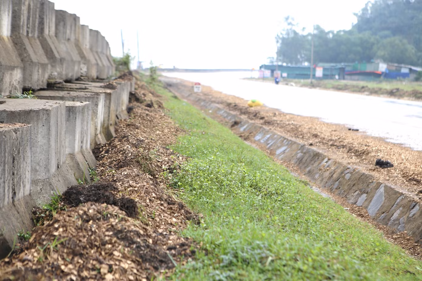 Mặc dù đã được thu dọn, nhưng số lượng dăm gỗ này lại được cào lên và đổ ngay bên vỉa hè gây mất mỹ quan, gây ô nhiễm môi trường.