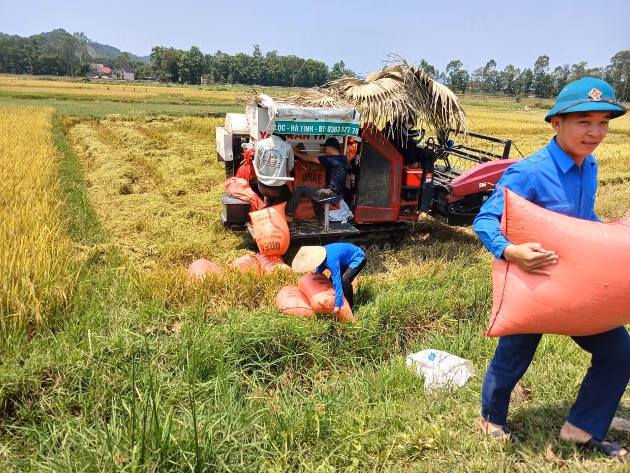 Với tinh thần xung kích, trách nhiệm, gương mẫu, dù thời tiết nắng nóng nhưng các bạn đoàn viên thanh niên vẫn tích cực tham gia.
