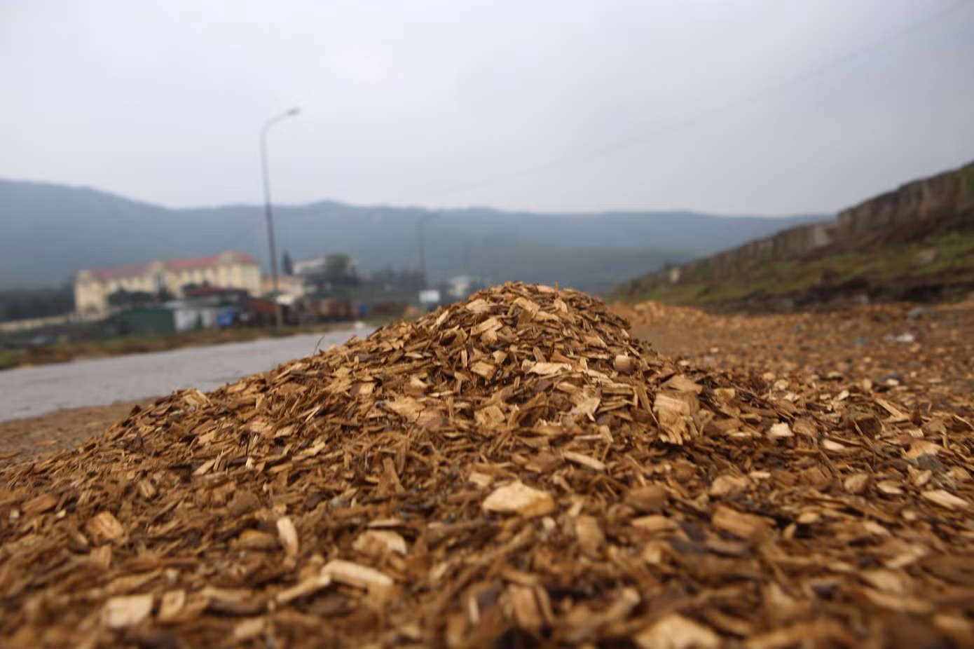 Tình trạng dăm gỗ rơi vãi dọc tuyến đường quốc lộ vào cảng xảy ra trong nhiều năm qua.
