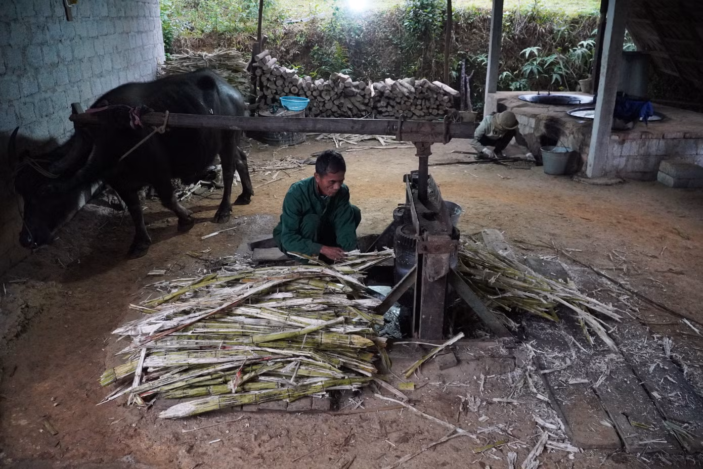 Để ép mía, người dân sử dụng hai khối hình trụ, đặt song song với nhau, phía trên gắn với một thanh gỗ dài khoảng 2m rồi buộc vào con trâu. Khi trâu di chuyển trục sẽ quay, người dân lần lượt đưa những cây mía vào để ép lấy nước. Sau khi nước mía chảy ra sẽ được dùng lưới để lọc cặn. Công đoạn này đòi hỏi phải tỷ mỉ, cẩn thận để đảm bảo vệ sinh.