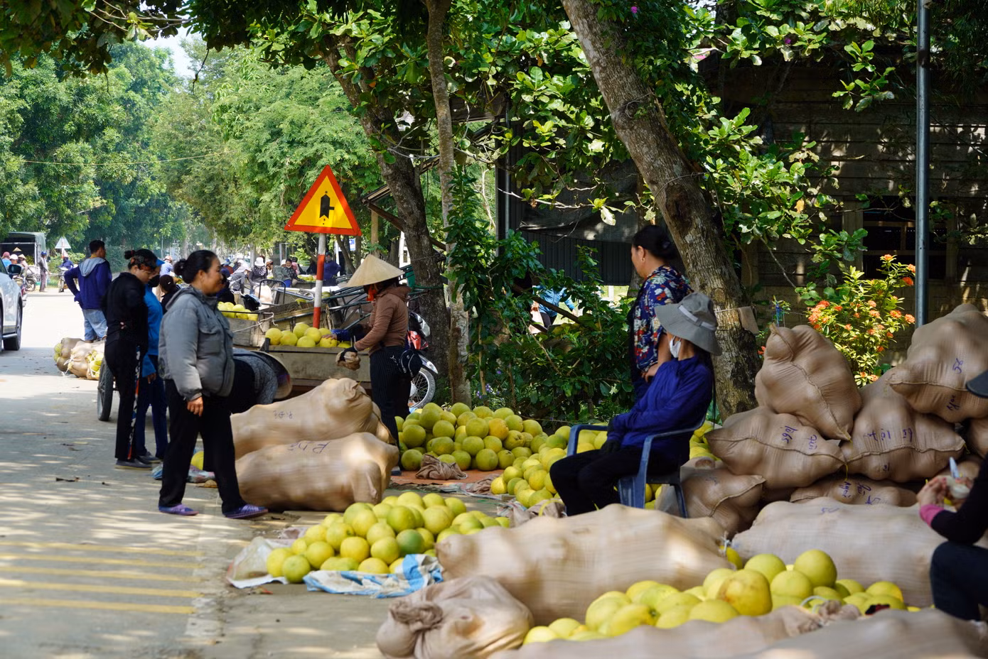 Chợ bưởi ở thị trấn Hương Khê là nơi người dân trồng bưởi, buôn bưởi giao thương hàng hoá. Chợ chỉ đông đúc, hoạt động nhộn nhịp khoảng 1 tháng khi thu hoạch chính vụ.