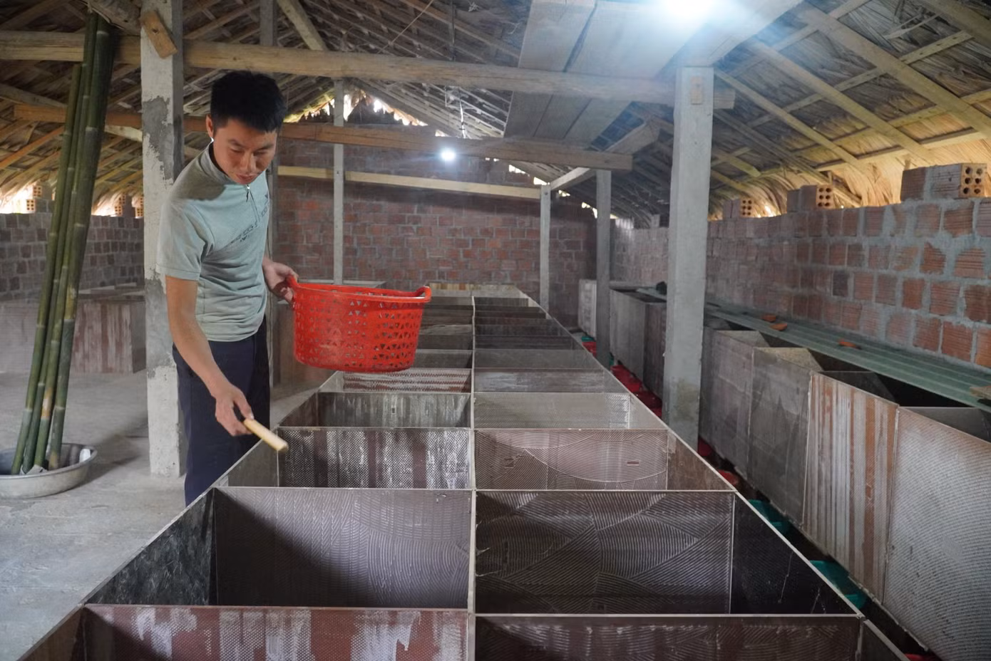 Chuồng trại nuôi dúi của anh Nhâm được xây dựng tại khu vườn của gia đình.