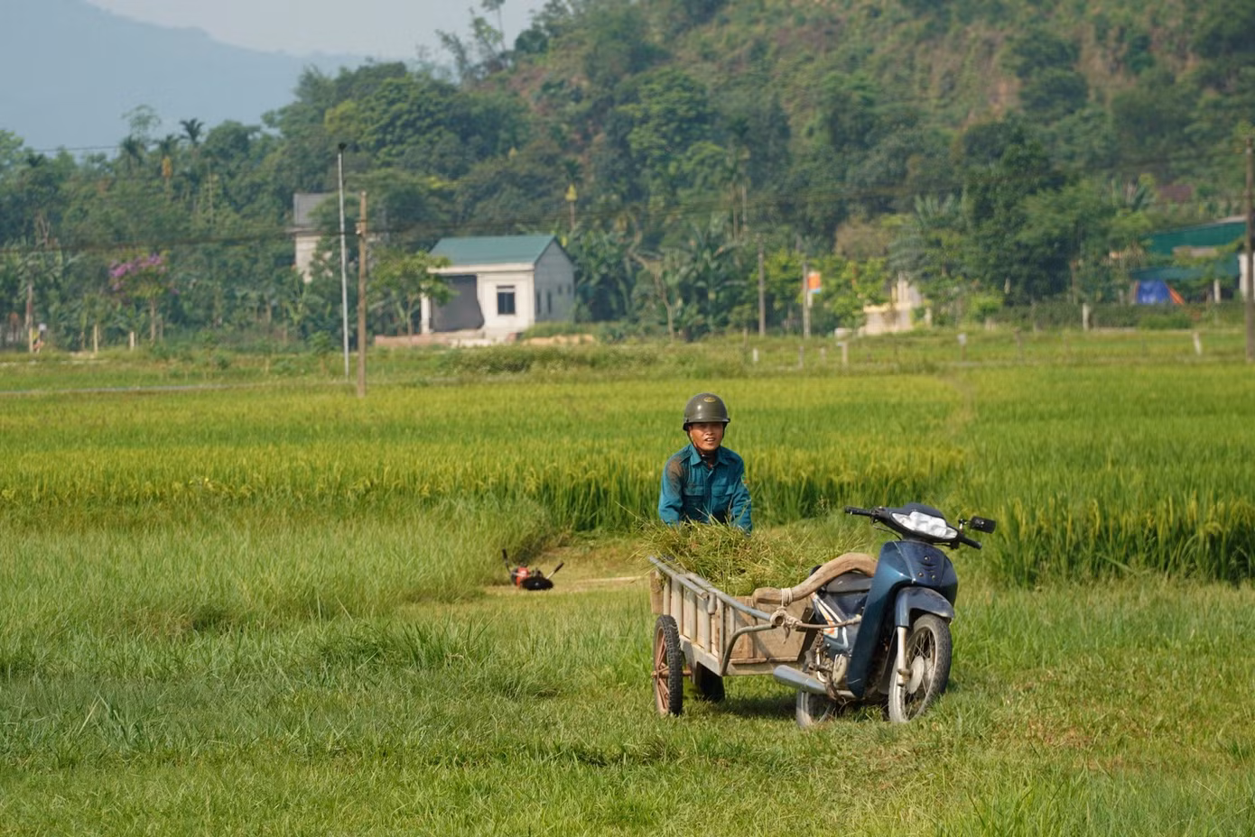 Ghi nhận tại huyện Hương Sơn vào ngày 27/4, từ sáng sớm người dân ra đồng làm việc để tránh nắng.