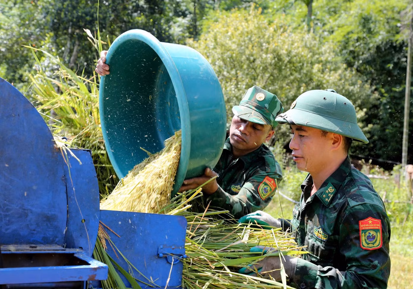 Khi thu hoạch xong, máy tuốt lúa liên hoàn được huy động đến cùng hỗ trợ bà con dân tộc Chứt.