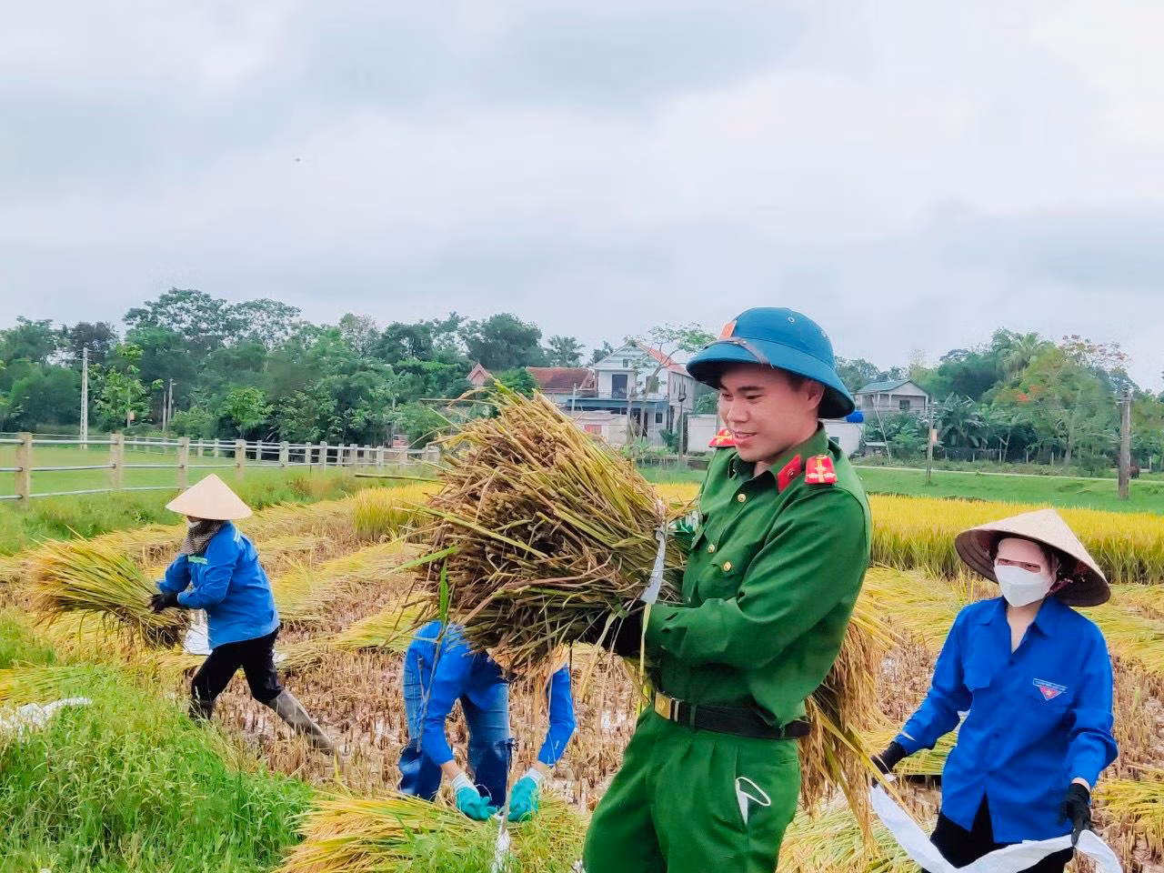 Đại uý Nguyễn Đăng Đức - Trưởng Công an xã Sơn Tiến, huyện Hương Sơn (Hà Tĩnh) cho biết, đơn vị vừa phối hợp với lực lượng đoàn thanh niên xã giúp người dân thu hoạch lúa bị đổ ngã sau mưa.