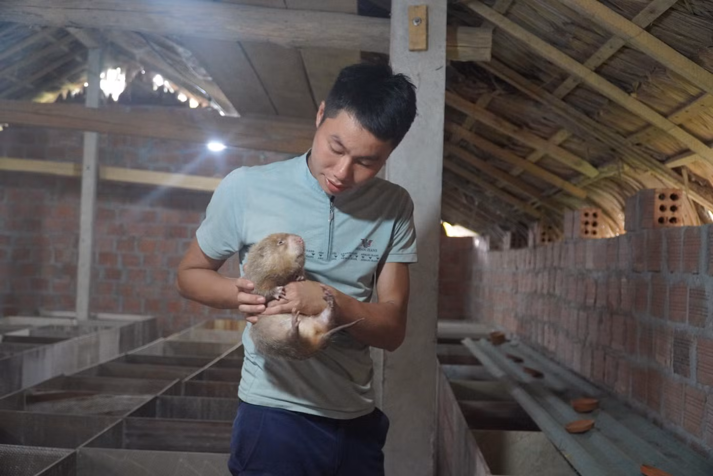 Anh Nhâm nuôi dúi thu lãi 200 triệu/năm.