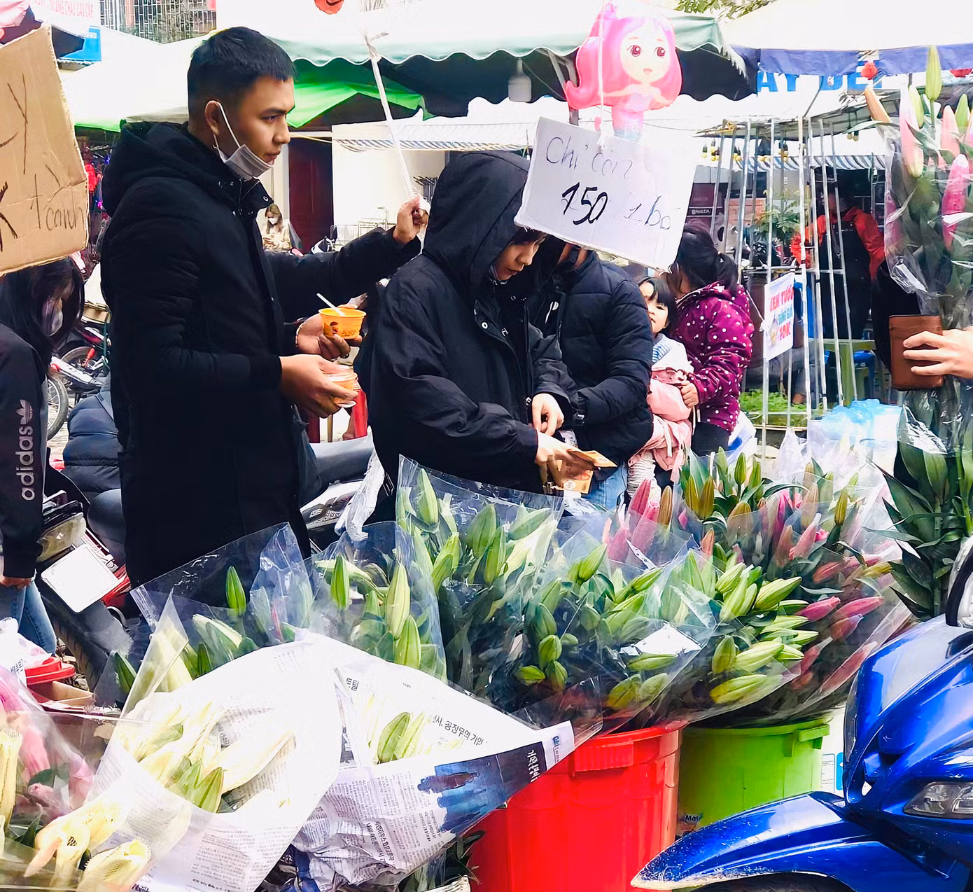 Chị T. (trú thị trấn Phố Châu) năm nay đưa 500 cành ly nhập từ Hà Nội về bán. Nhưng hiện tại mới chỉ bán được 100 cành. Sợ không bán được, nay chị cũng phải bán giá gốc với mong muốn lấy lại được số vốn hơn 20 triệu đã bỏ ra.