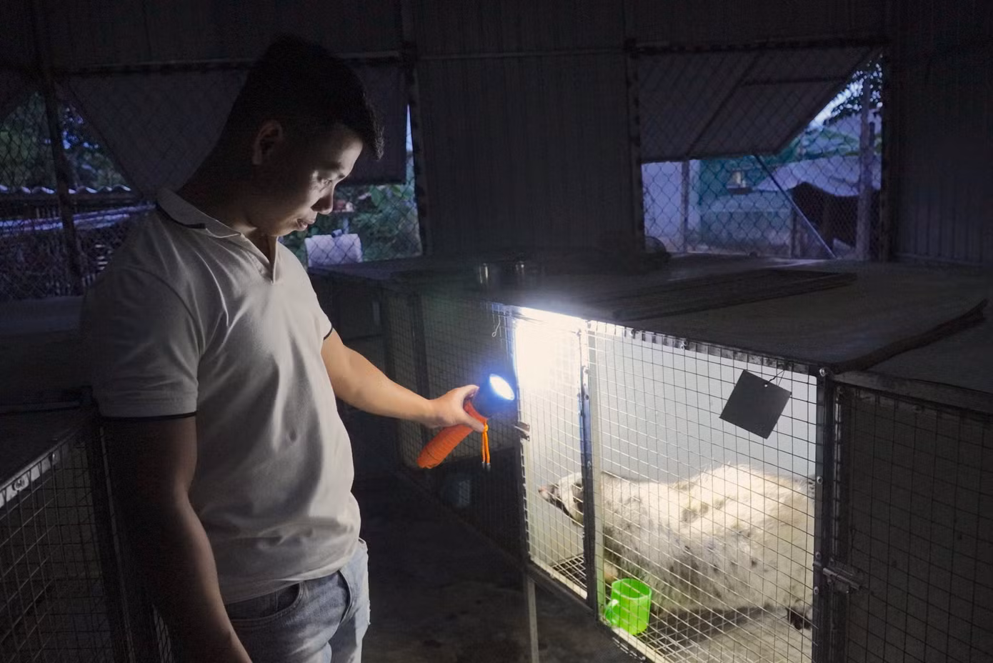 Chuồng trại của anh Sáng được xây dựng rất bài bản để đảm bảo cho chồn phát triển tốt.