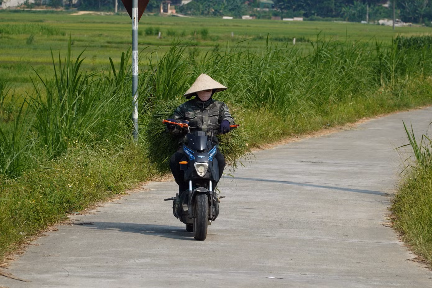 "Từ 5h sáng tôi đã dậy để đi ra đồng. Làm việc đến khoảng 9h tôi về nhà, những ngày này thời tiết khắc nghiệt, nắng như đổ lửa. Chỉ làm việc được ít giờ buổi sáng, còn buổi chiều nhiệt độ tăng cao ở trong nhà cũng nóng hầm hập", bà Nguyễn Thị Liên (trú xã Sơn Giang) cho hay.
