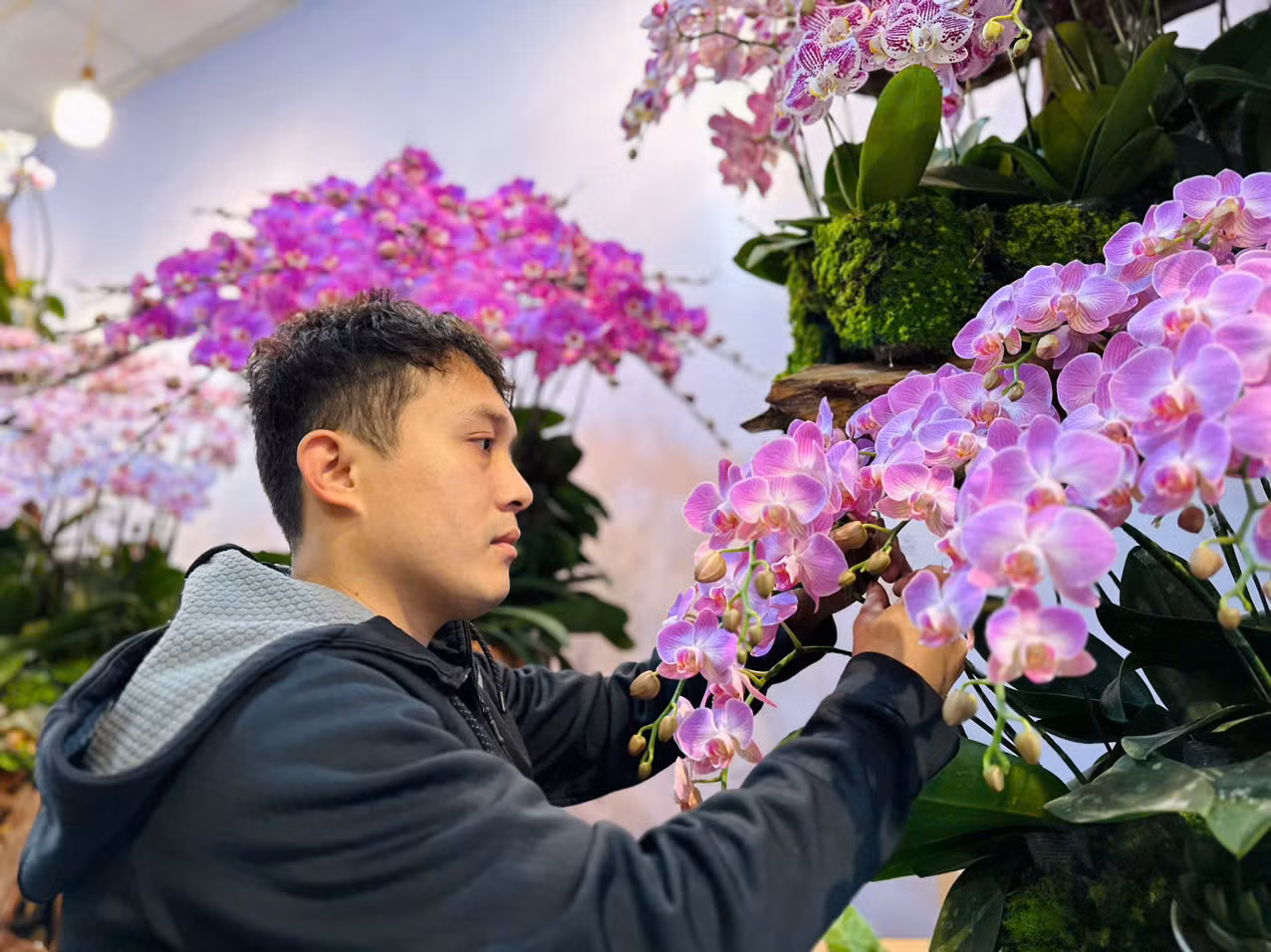 Anh Phạm Linh Tự (27 tuổi, trú huyện Hương Sơn) cho biết, anh cùng 3 người thợ cắm hoa khác đã thực hiện tác phẩm này trong suốt nhiều giờ. Ý tưởng làm chậu lan trên thân lũa này được anh thực hiện với tên gọi cho tác phẩm nghệ thuật này là "Rừng hoa mùa Xuân". "Đến nay tôi đã có kinh nghiệm trên 10 năm cắm hoa. Tác phẩm chậu lan này được lấy ý tưởng từ "Rừng hoa mùa Xuân" để thực hiện. Trong chậu có 300 cành lan với 8 màu chủ đạo, đó là đỏ cheri, màu lan bản đồ nhí.... Đây là những loại màu lan đẹp, lạ mắt thu hút người nhìn. Năm nay thị trường khách hàng lựa chọn là lan ghép trên thân gỗ lũa, bởi nó nhìn tự nhiên, hài hoà", anh Tự nói.