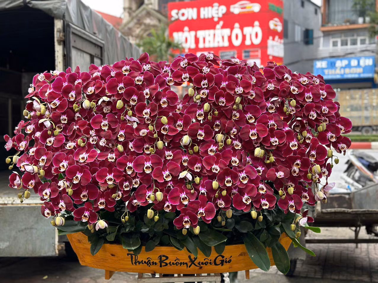 Tại thành phố Hà Tĩnh, năm nay lan hồ điệp đưa về với nhiều màu khác nhau. Đặc biệt thị trường năm nay lan được ghép trên các thân gỗ lũa được nhiều người thích thú, tìm mua. Theo ghi nhận thị trường dịp Tết tại thành phố Hà Tĩnh, lan ở đây không chỉ có giá vài triệu đồng hay vài chục triệu đồng, mà có chậu lan được ghép theo dáng "độc lạ" trên gỗ lũa giá 100 triệu đồng.