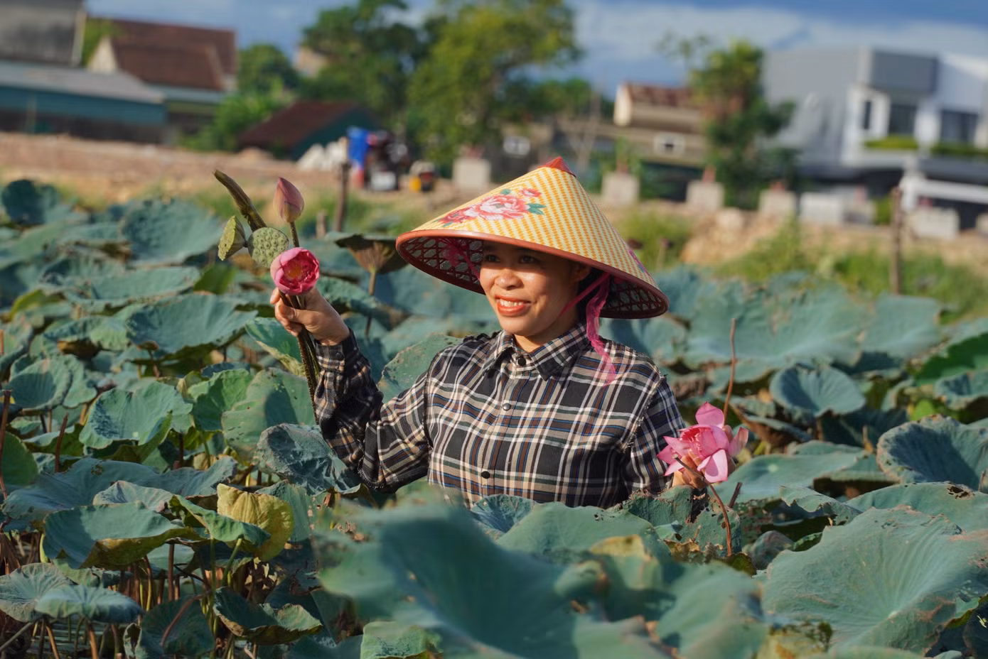 Từ 4h30' sáng, tại đầm sen lực lượng thanh niên cùng cán bộ hội nông dân và người dân đã có mặt để hái hoa.