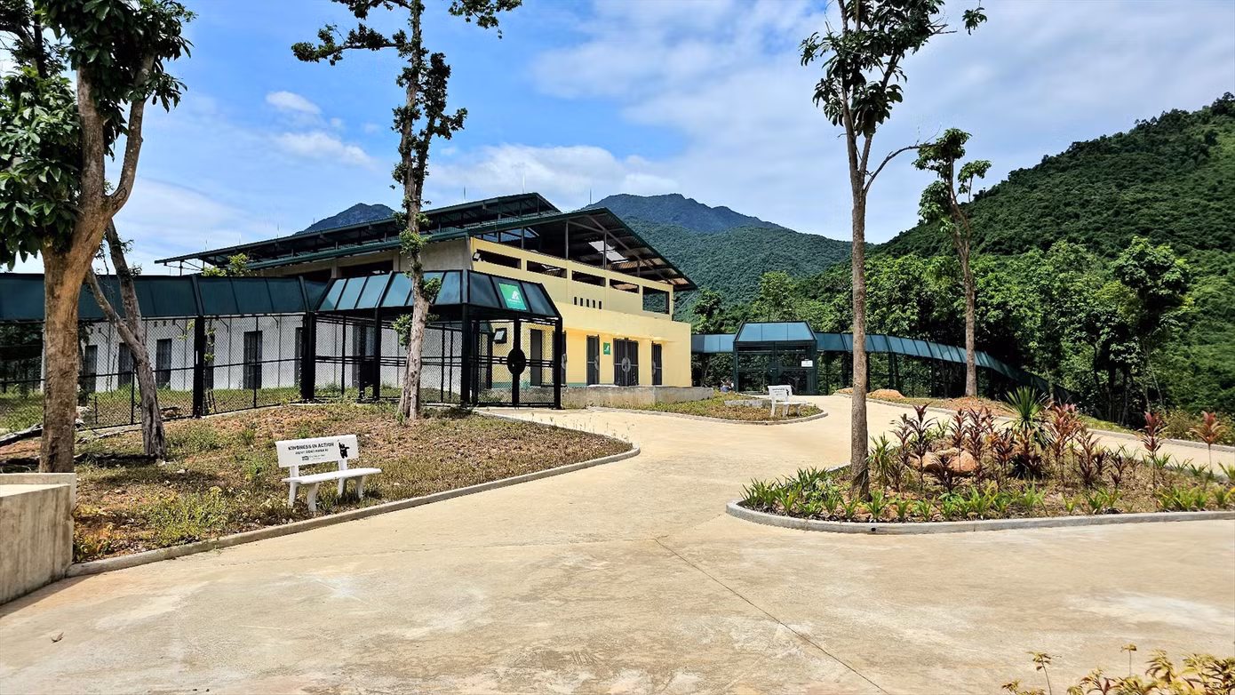 Một góc Trung tâm cứu hộ gấu Việt Nam tại Bạch Mã