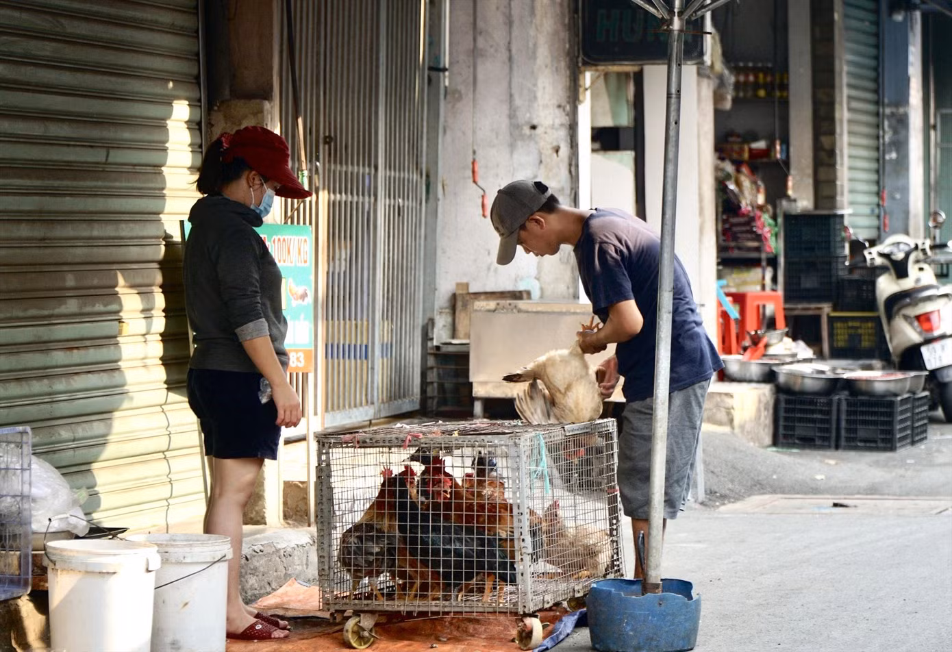 Nhiều người chọn mua gia cầm sống ở chợ truyền thống rồi nhờ giết mổ tại chỗ vì tiện lợi, tươi ngon. Ảnh: Nhàn Lê