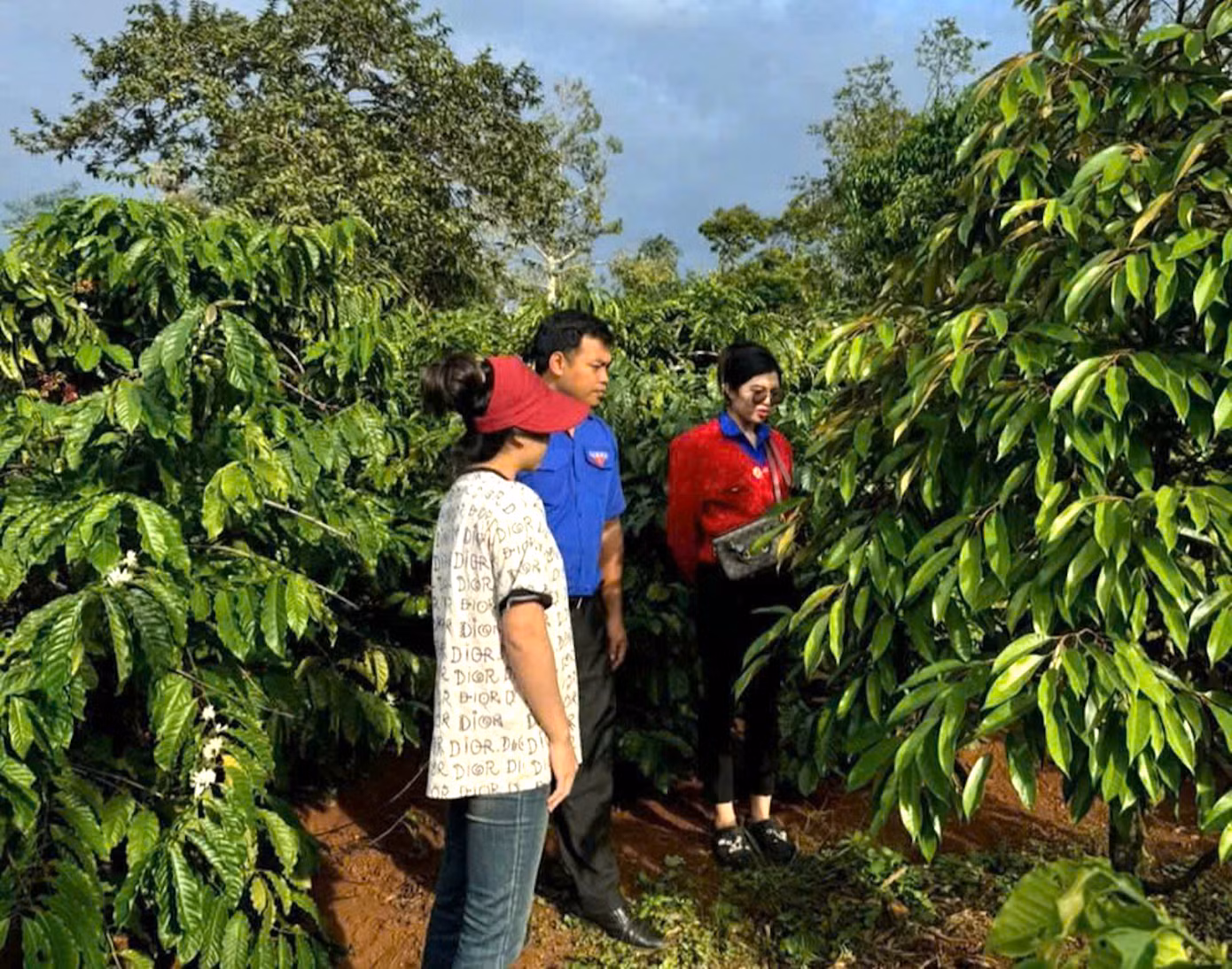 Các cơ sở đoàn quan tâm, hỗ trợ thanh niên khởi nghiệp