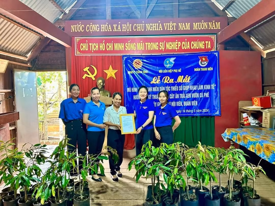 Thành viên câu lạc bộ "Nữ thanh niên dân tộc thiểu số giúp nhau làm kinh tế" được trao tặng 150 cây sầu riêng