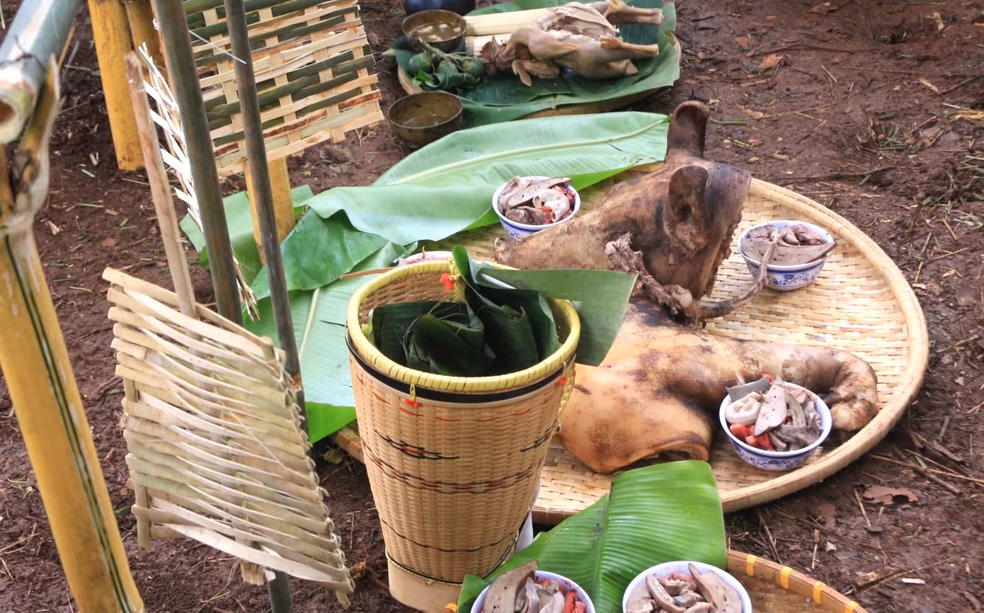 Lễ vật chuẩn bị cho lễ cúng gồm: 2 con heo trong đó một heo trắng khỏe mạnh, không được mắc các loại bệnh tật.