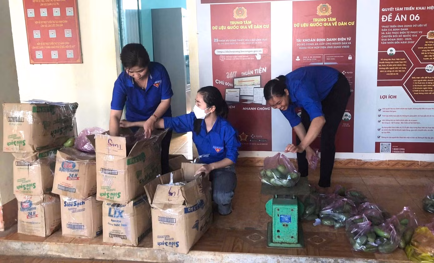 Đoàn thanh niên bán trái cây gây quỹ