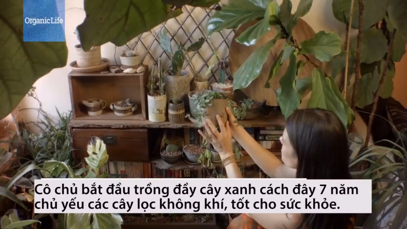 Những điều vợ nên làm khi chồng say xỉn ảnh 1