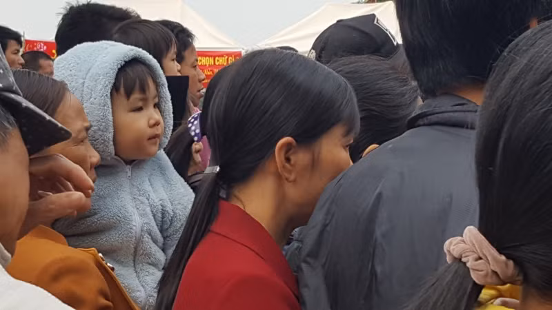 Hàng vạn người dự đám rước lễ hội Thủy tổ dân tộc ảnh 12
