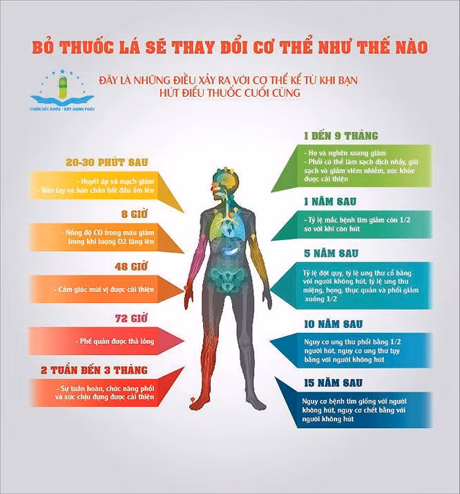 Những thay đổi kỳ diệu của cơ thể sau bỏ thuốc lá ảnh 1
