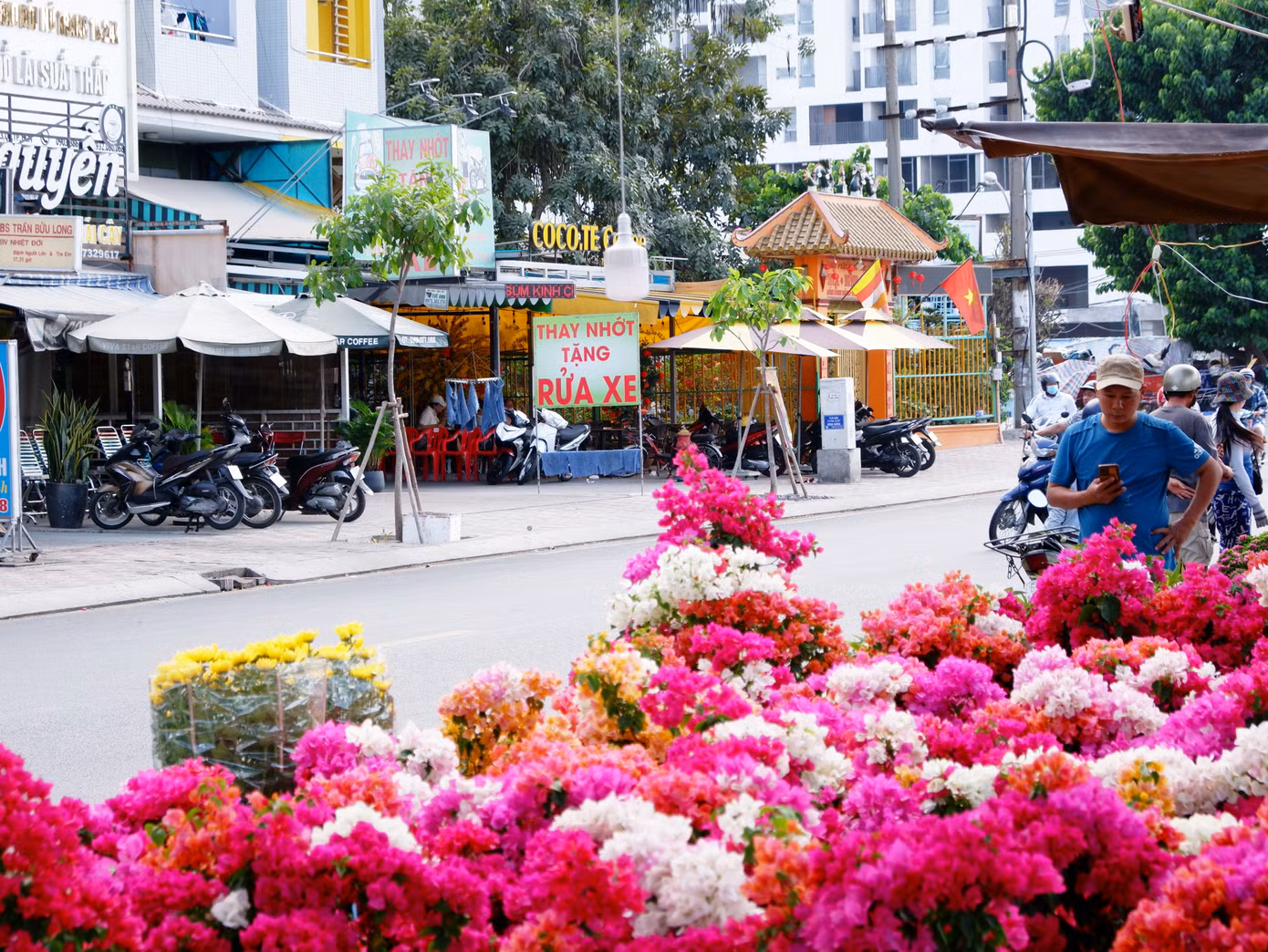 Các chậu hoa giấy, hoa cúc, cúc mâm xôi,... tùy vào kích thước mà giá cả dao động từ 100.000 đồng đến 350.000 đồng/ chậu.