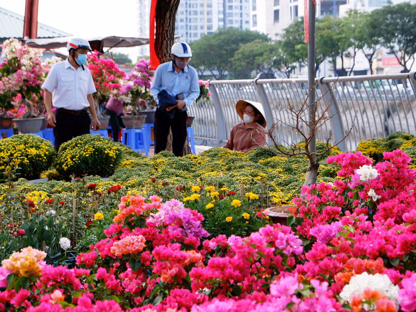 Ở trên bờ, những chậu hoa giấy, cúc vạn thọ, cúc mâm xôi,... rực rỡ sắc màu được trưng bày gọn gàng, bắt mắt, thu hút người dân đến tham quan, mua sắm.