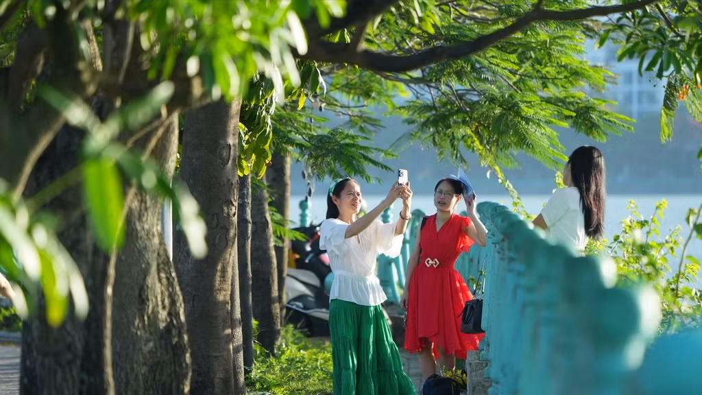 Hoa phượng, hoa bằng lăng cùng hàng lan can quanh Hồ Tây luôn được nhiều người lựa chọn làm bối cảnh chụp ảnh.