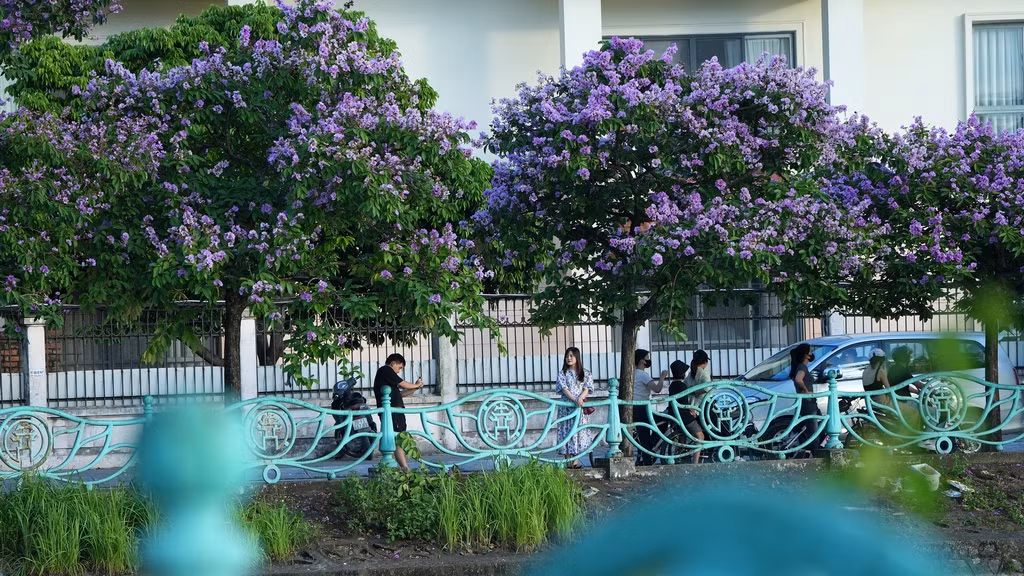 Sau một ngày nắng nóng, giữa Hà Nội náo nhiệt với tiết trời oi bức, vẫn còn đâu đó những ngóc ngách bình yên và nên thơ.