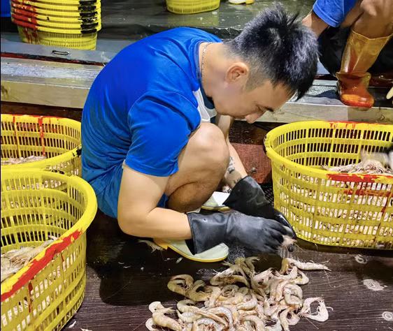 Cầu thủ Hải Huy phụ gia đình ở chợ hải sản để kiếm thêm thu nhập trong thời gian nghỉ thi đấu và bị CLB nợ lương nhiều tháng