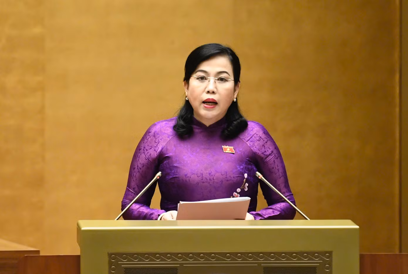 Chủ nhiệm Ủy ban Công tác đại biểu Nguyễn Thanh Hải. Ảnh: Như Ý