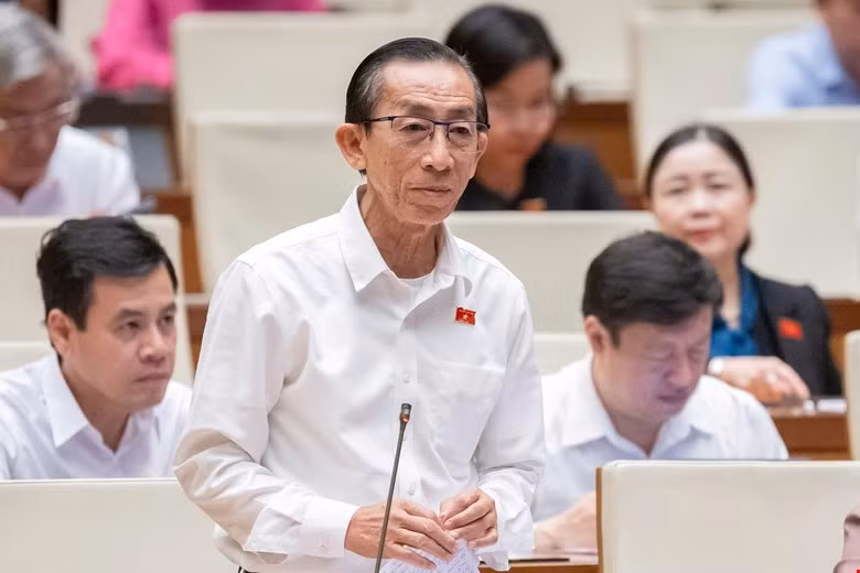 Đại biểu Trần Hoàng Ngân (TPHCM). Ảnh: Như Ý