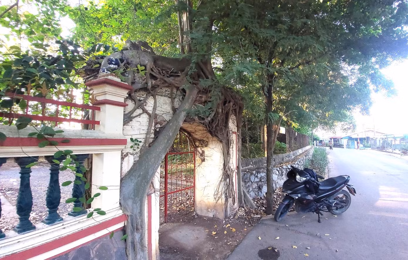Trong không gian yên tĩnh, đình Tân An tạo sự cuốn hút bởi hai cổng trước và sau được bao bọc bởi cây đa. Bên trong khuôn viên có hàng chục cây cổ thụ quý hiếm, tạo nên một sự huyền bí đến khó tả.