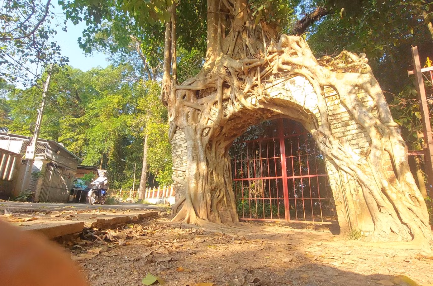 Hiện nay, đình Tân An vẫn còn lưu giữ Sắc phong của vua Tự Đức ban vào năm 1853. Ngoài lưu giữ những giá trị về mặt lịch sử văn hóa, đình Tân An còn là nơi sinh hoạt văn hóa tinh thần của người dân địa phương và trong vùng.
