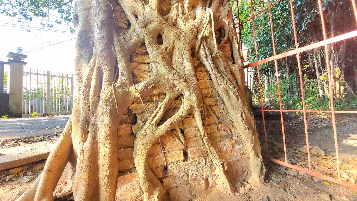 Tiên tổ dòng họ Nguyễn (làm chức Ban biện) đứng ra chủ trì xây dựng lại ngôi đình với quy mô lớn, có hình dáng như bây giờ. Mặt khác, dòng họ Nguyễn là một trong những lớp cư dân đầu tiên đến vùng đất Tân An khai hoang lập nghiệp và có công trùng tu ngôi đình làng nên được dân làng tôn làm “Tiền hiền - Hậu hiền” và được thờ trong ngôi chánh điện để tỏ lòng thành kính.