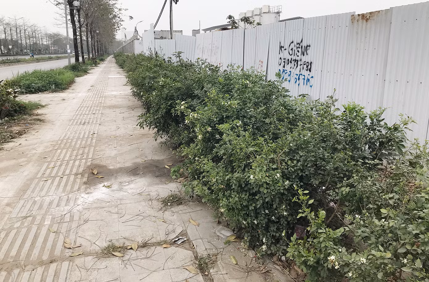Theo nhiều chuyên gia, việc lát đá vỉa hè không đảm bảo theo các tiêu chuẩn, quy chuẩn theo quy định sẽ gây nhiều hệ luỵ về sau, đặc biệt là chi phí duy tu, bảo dưỡng, sửa chữa. Phó Giám đốc Sở Xây dựng Hà Nội Mạc Đình Minh thông tin, Sở Xây dựng Hà Nội sẽ tiến hành thanh tra, kiểm tra các dự án lát đá vỉa hè trên địa bàn thành phố. Ảnh: Trường Phong.