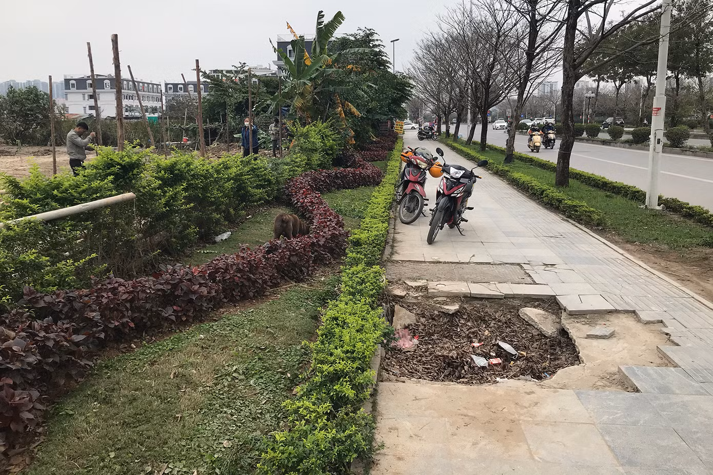 Một khu vực hư hỏng lớn trên vỉa hè đường Trịnh Văn Bô. Ảnh: Trường Phong