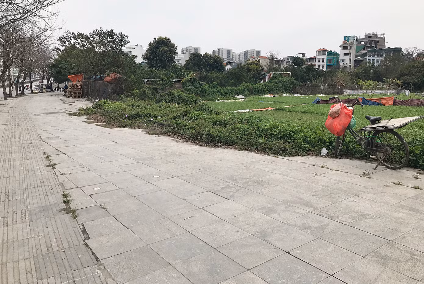 Tuyến đường Trịnh Văn Bô cũng đi qua nhiều địa bàn còn vườn tạp, ruộng rau muống, nên vỉa hè nhiều khu vực bị nghiêng, lún, nứt, hư hỏng nhiều. Ảnh: Trường Phong.