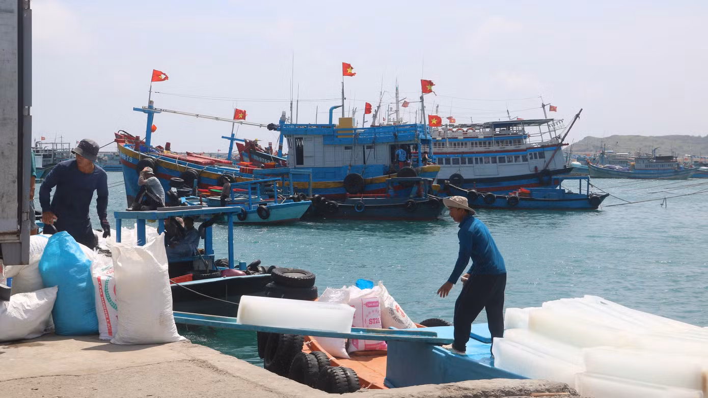 Bắt đầu từ tháng 4 và kéo dài đến tháng 9 hàng năm, vụ cá Nam được xem là thời điểm mang lại nguồn thu nhập chính cho hàng nghìn ngư dân tỉnh Lâm Đồng. Những ngày này, tranh thủ thời tiết thuận lợi, bà con tất bật chuẩn bị ngư lưới cụ, nhu yếu phẩm để kịp ra khơi.