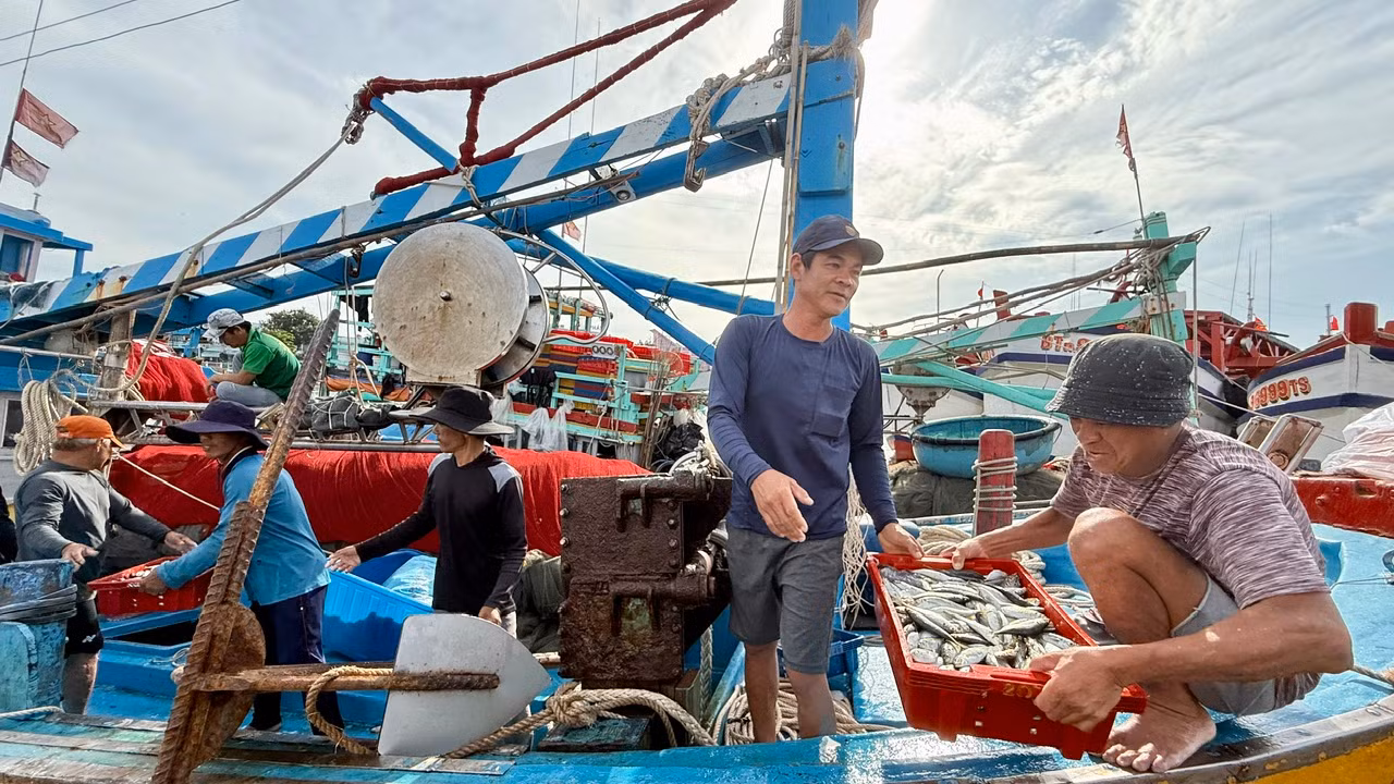 Cập bến sau gần 1 tháng trên biển, ngư dân Nguyễn Văn Đức cho biết chuyến này anh kiếm được hơn 100 triệu đồng.