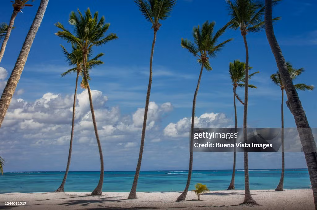 Xếp thứ bảy trong danh sách là bãi biển Bavaro (Bavaro, Cộng hòa Dominica). Nơi này là điểm đến yêu thích của du khách vì bãi biển đầy cát cùng làn nước ấm trong vắt, những hàng cọ xanh mát thơ mộng và các rạn san hô tự nhiên ấn tượng. Ảnh: Getty.