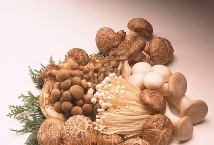 Ăn gì để sống thọ?