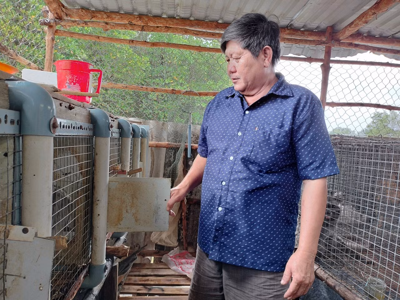 Hàng đêm, gia đình ông Sắc đều thức trắng canh trộm và đêm nào mệt mỏi quá cũng chỉ dám ngủ ‘một bên mắt’.